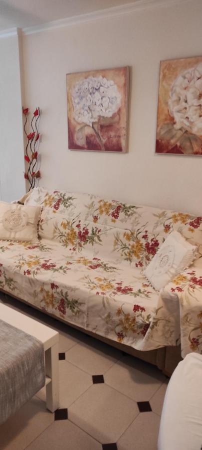 Entero En La Playa San Juan Benacantil Homestay Alicante